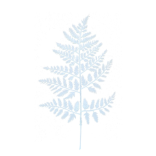 15.25 Inch Plastic White Leather Fern Leaf Spray (Lot of 12 Leaves) SALE ITEM